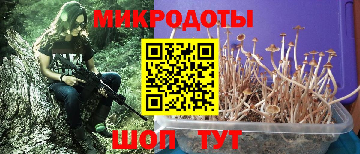 закладка  Галлюциногенные грибы мухоморы  Вход с VPN  Сорочинск 